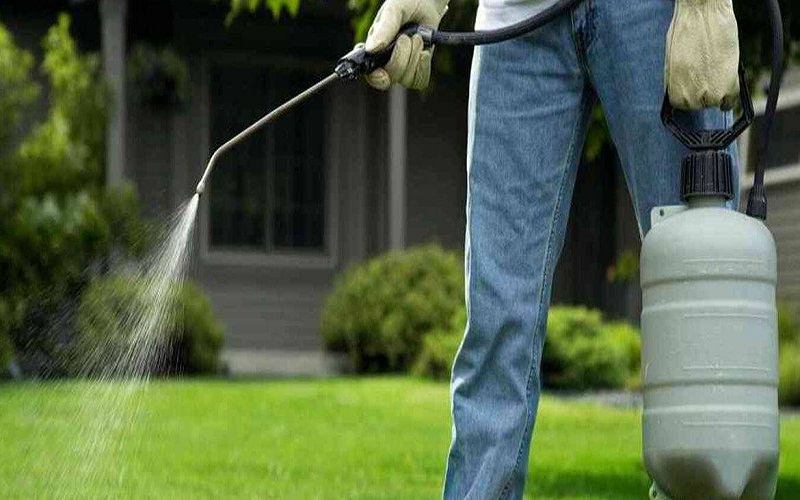Tips for fumigating: Type of fumigation the garden