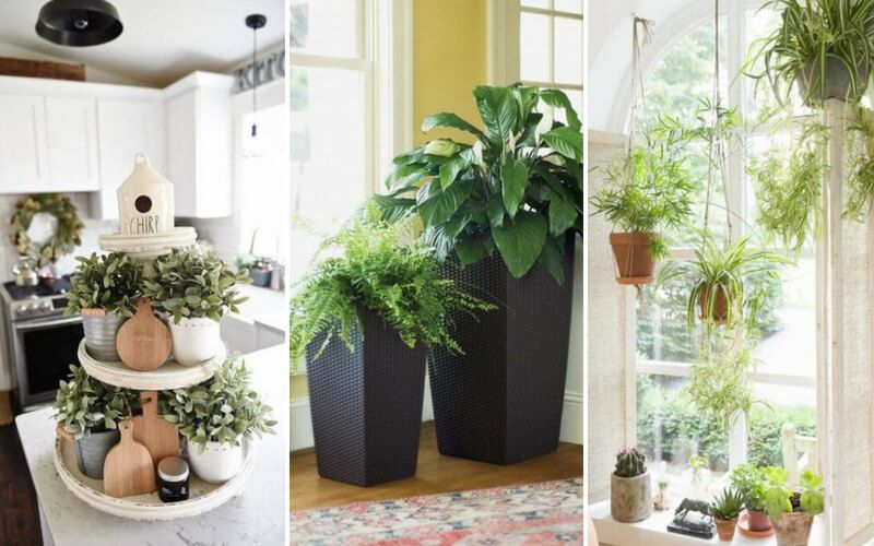 Easy Indoor Gardening Ideas 