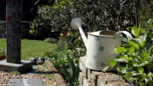 15 gardening tips for beginners