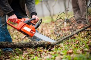 What you need to know when using a chainsaw