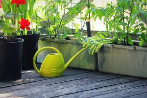 15 Terrace Vegetable Garden Ideas