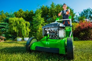 Discover The Average Lawn Care Cost per Month