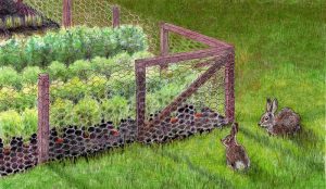 How to Keep Rabbits Out of Garden: A Gardener’s Guide