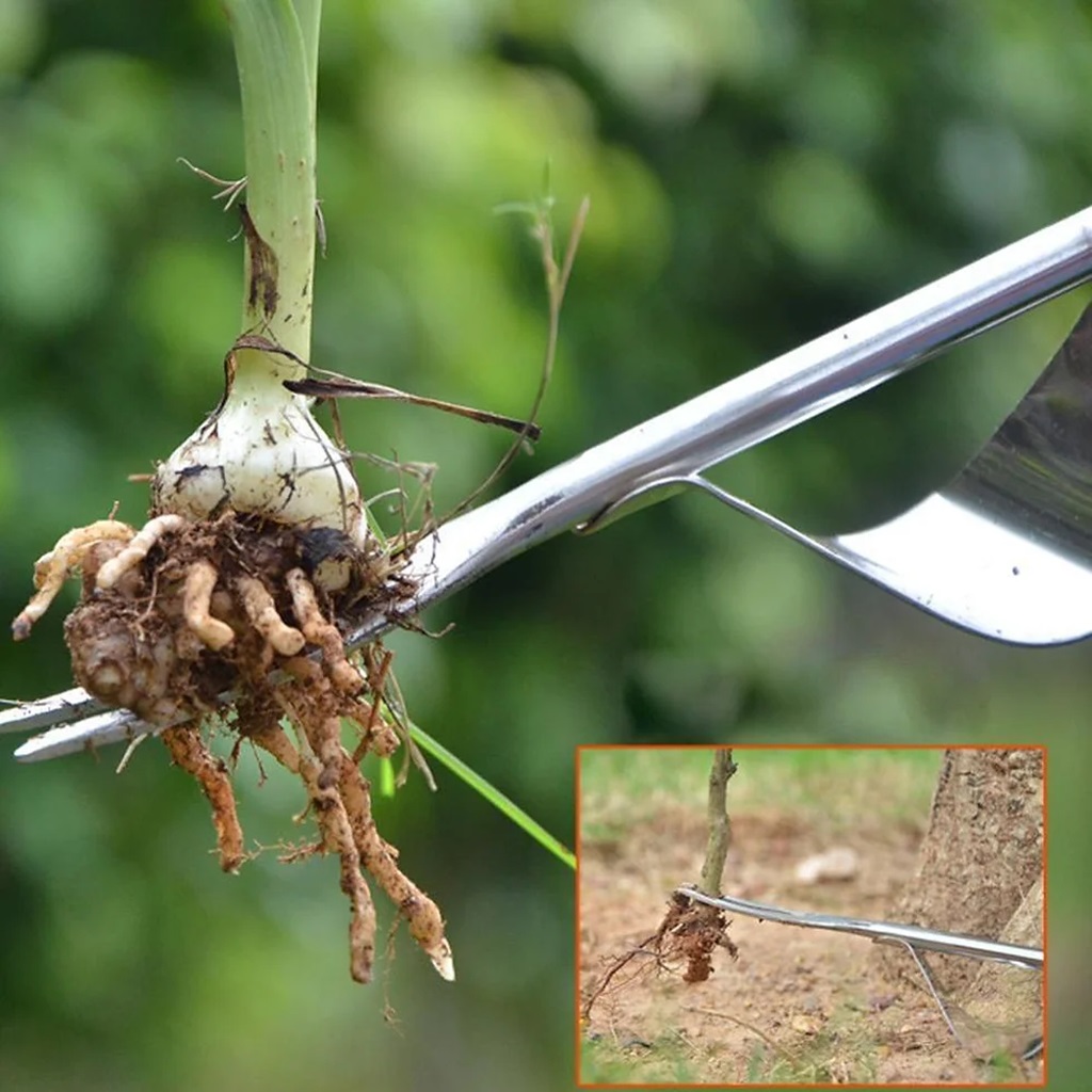 Garden Hand Tools for Weeding and Pruning