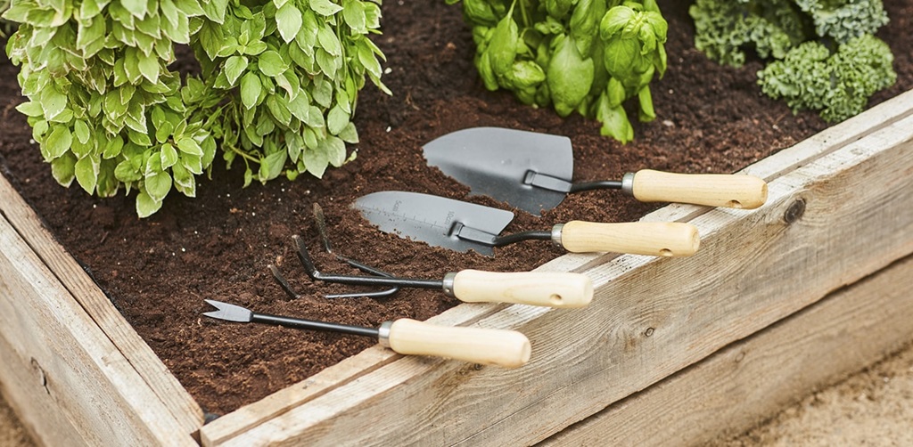 The Final Bloom of Your Hand Trowel Journey