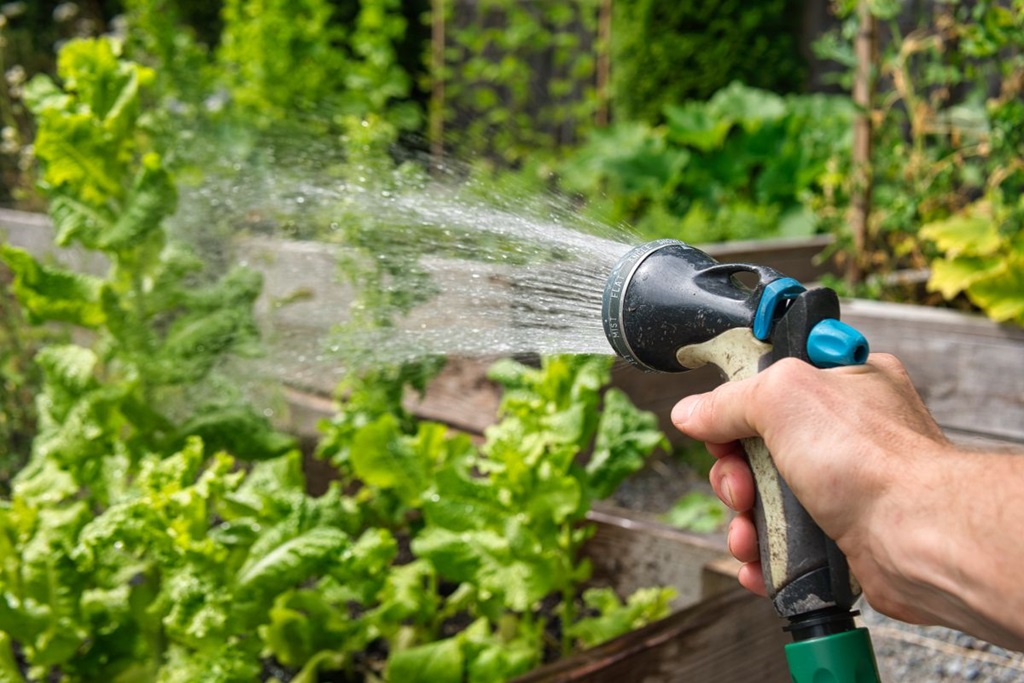 Moisture-Conserving Garden Care Tips
