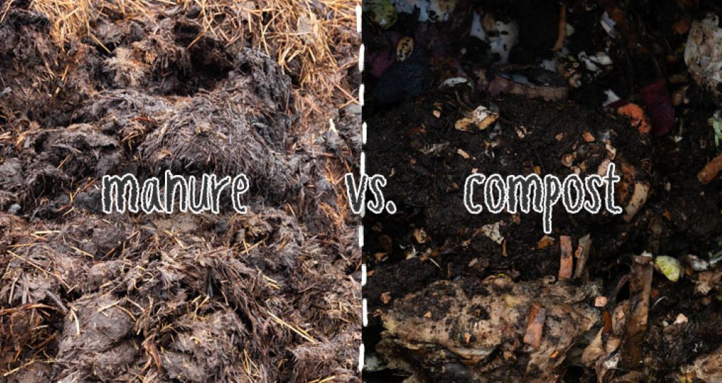 Can I mix compost and manure?