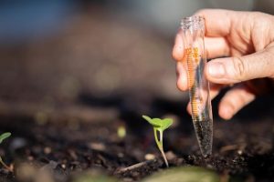 4 Simple Tests For Soil Health: Get Your Hands Dirty and Grow Better Plants