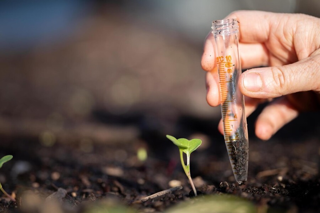 How to test the health of soil?