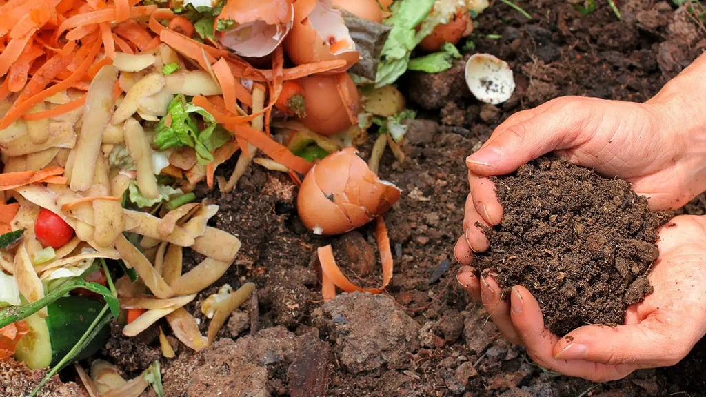 Kitchen Scraps: Harvesting and Using Your Compost