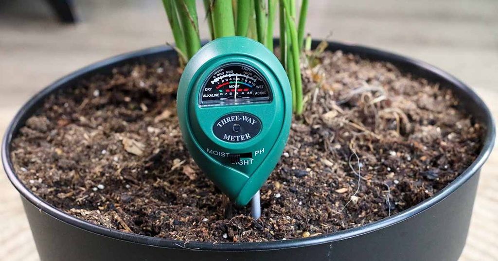 Choosing the Right Soil Meter for Your Needs