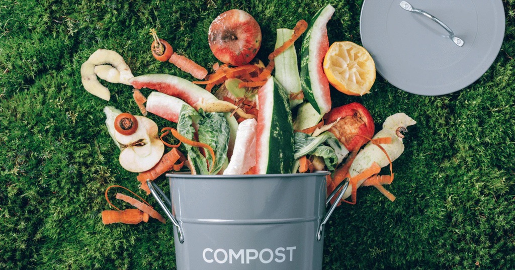 Can you put food scraps directly into your garden?