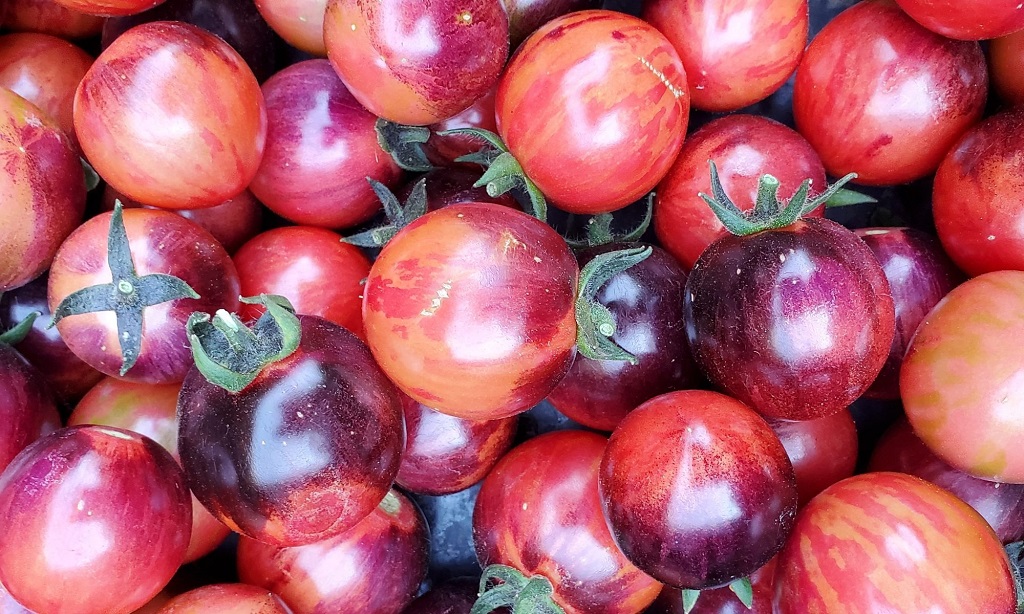 Unleashing the Flavor of Black Strawberry Tomatoes