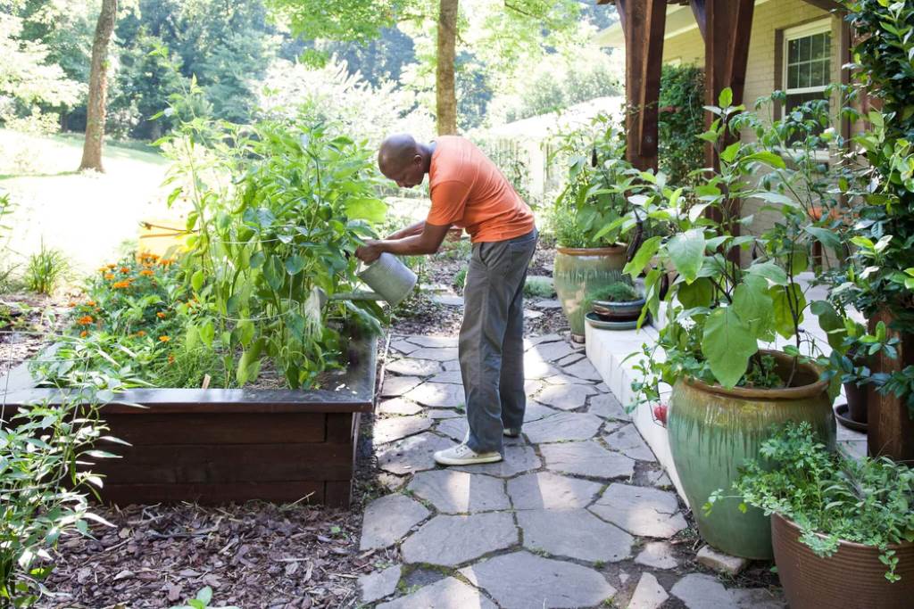 How to Choose a Good Gardener: A Journey to a Thriving Garden