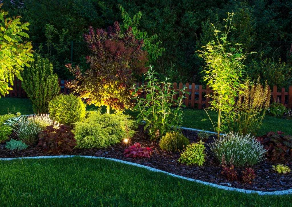 Tall silver grass lines a moon garden path, illuminated by soft solar lights