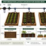 Drip irrigation layout diagram for rectangular raised garden beds