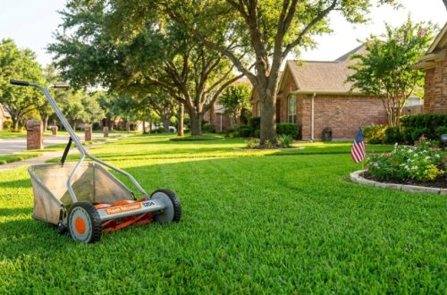 A Reel Mower 1204 resting on a lush green Texas lawn in bright daylight.