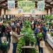 Shoppers browsing tables of leafy houseplants at a plant expo in Collinsville, Illinois