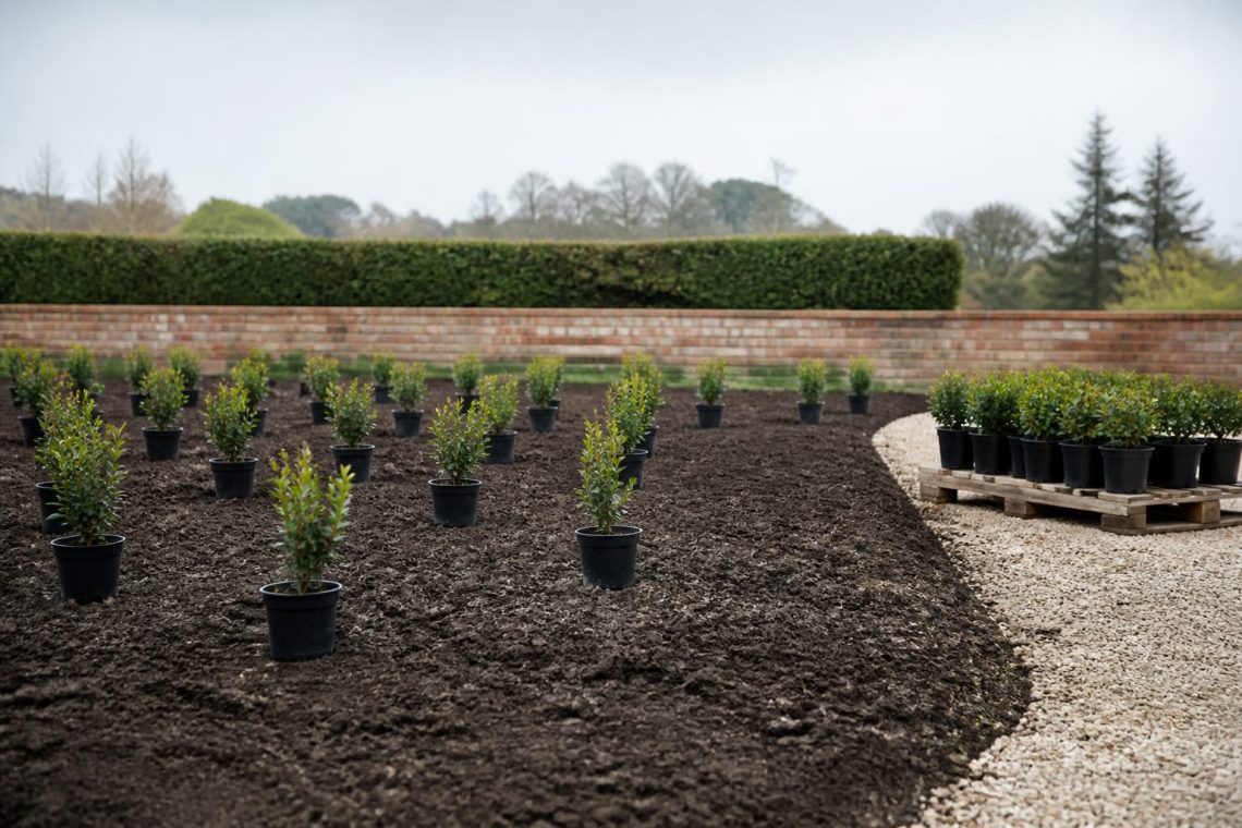 Preparing for your first bulk plant order