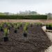Preparing for your first bulk plant order
